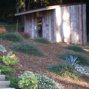 Hillside Plantings