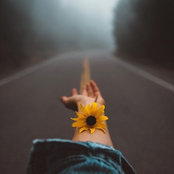 Photo de Stephanie Dowling