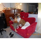 Vannee Van Riper's photo