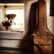 Allie DeMaio's photo