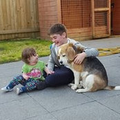 Amy Meadowcroft's photo