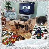 Bonnie Walker's photo