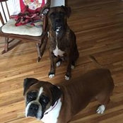 Kathy Reed's photo