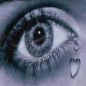 Martine Bour's photo