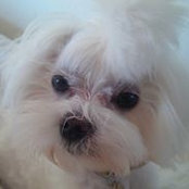Julie Copeland's photo