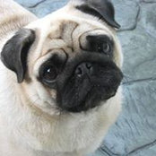 Marcie Anderson's photo