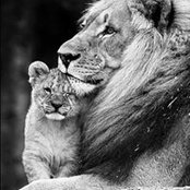 Foto von Debra Hutley
