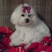 Tonya Cannady's photo