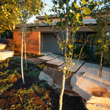 Front Yard Xeriscape With Rock
