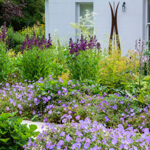 Garden Ideas