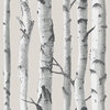 Birch Trees Wallpops Wallpaper, Yard