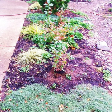 Woodstock Craftsman Cottage Rain Garden