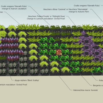 Vertical Garden Wall