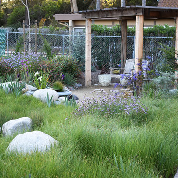 Solana Beach Sustainable Landscape and Bird Sanctuary