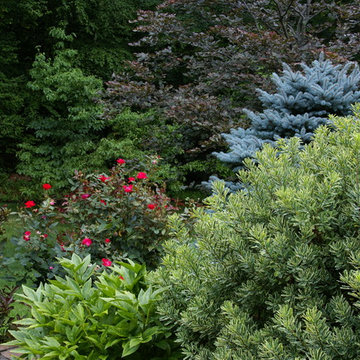 Gravel Garden Entry