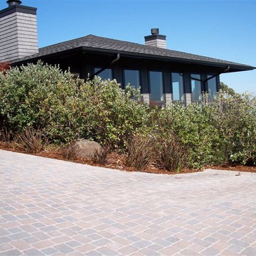 Landscape Design & Installation