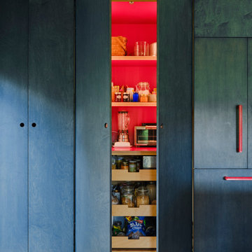 Red Laminate Pantry with Pocket Doors