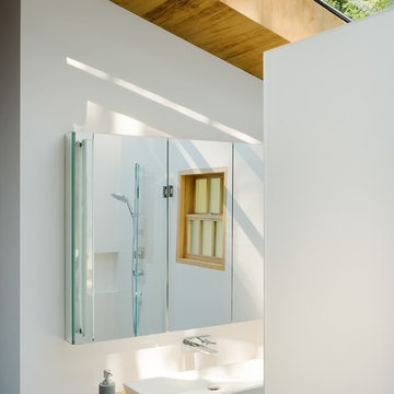 Cow Hollow House