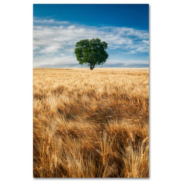 Michael Blanchette Photography 'Wheat Field Tree' Canvas Art, 30"x47"