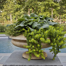 container arrangements