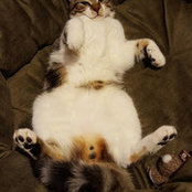 Robb Stroobant's photo