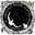 A Crescent Moon Design & Landscape Architecture