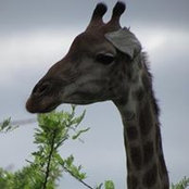 Amy Owens's photo