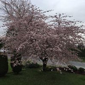 Ruth Snider's photo
