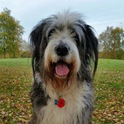 Andrew Wright's photo