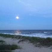 Gina Curry's photo