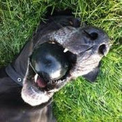 Josh Smith's photo
