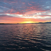 Foto von Connie Anderson