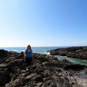 Allison Critch-Fitzpatrick's photo