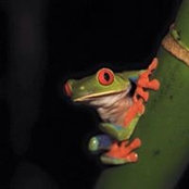 Diane Bengard's photo