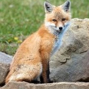Wendy Rayner's photo