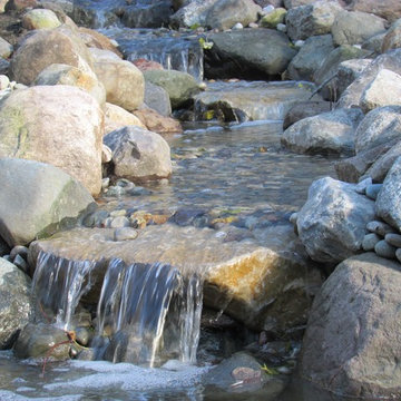 Water Feature - Pond
