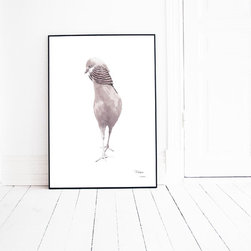 Prints - Prints And Posters