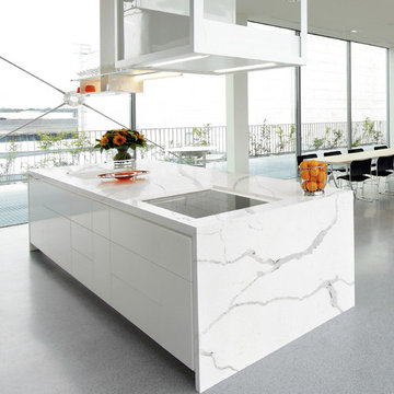ColorQuartz® Calacatta Novus CQ981