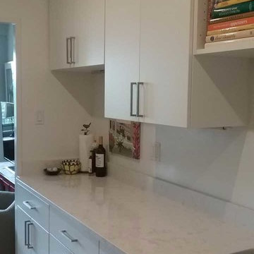 DC Apartment Remodel