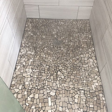 Oswego IL Master Bathroom