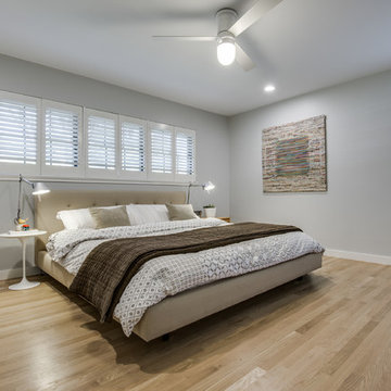 Dallas Modern