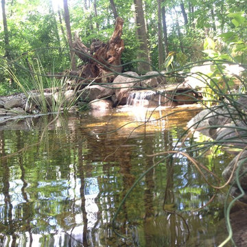 Lost loved one - Dedication Pond