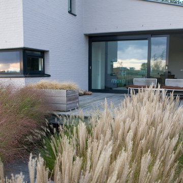 Grasses and a view