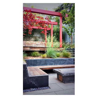 Bernal Heights - Modern - Landscape - San Francisco - by bwd gardens ...