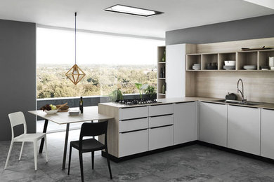 This is an example of a contemporary kitchen.