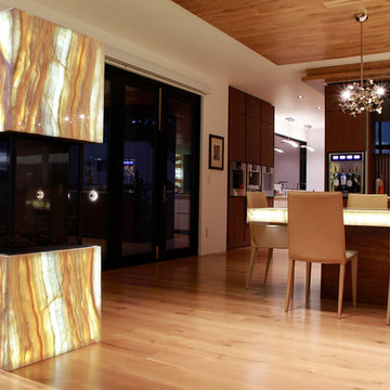 Illuminated Onyx Double-sided Fireplace