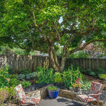 Magnolia Sanctuary Garden
