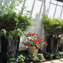 terrace ridge patio