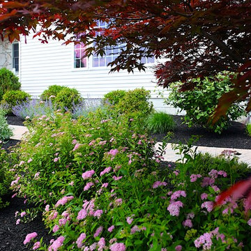 Family Pool Project, Flemington, NJ