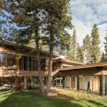 Arboreal House